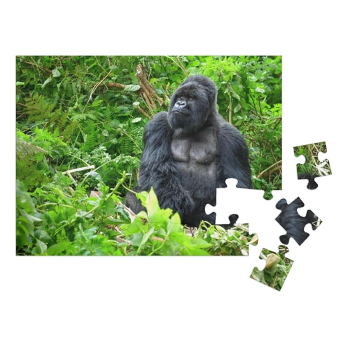 Bild von puzzleYOU Puzzle Silberrücken-Berggorilla in Ruanda – Ein unvergessliches Puzzle-Erlebnis