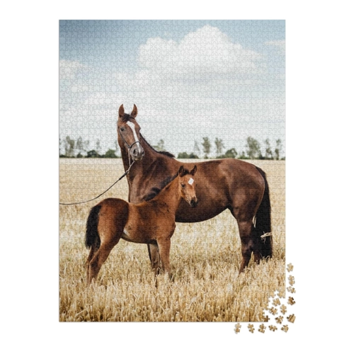 Bild von puzzleYOU Puzzle Wunderschöne Fuchsstute mit Fohlen, 200 Puzzleteile