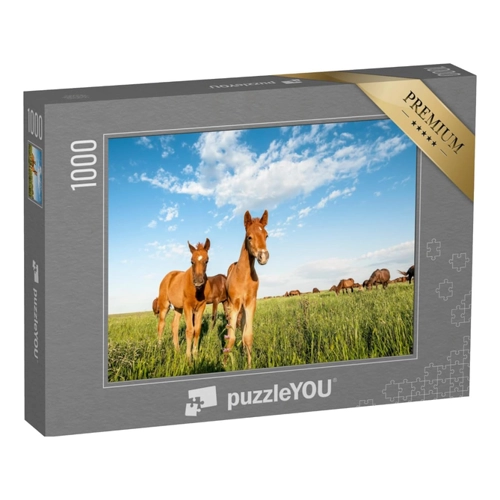 Bild von puzzleYOU: Puzzle 100 Teile „Neugierige Fohlen auf der Weide des Rostower Staatsreservats“
