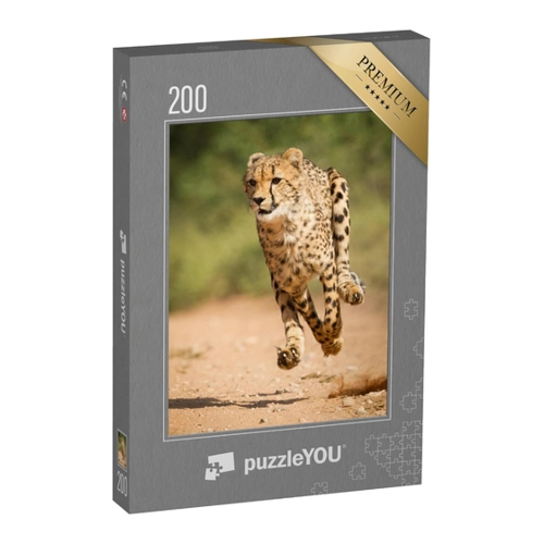 Bild von puzzleYOU Puzzle „Schneller Gepard, Kruger Park, Südafrika“ – 48 Teile