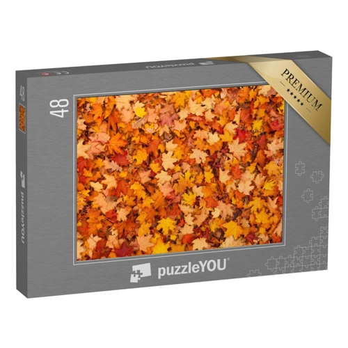 Bild von PuzzleYOU Puzzle Rote und orangene Herbstblätter – 48 Teile