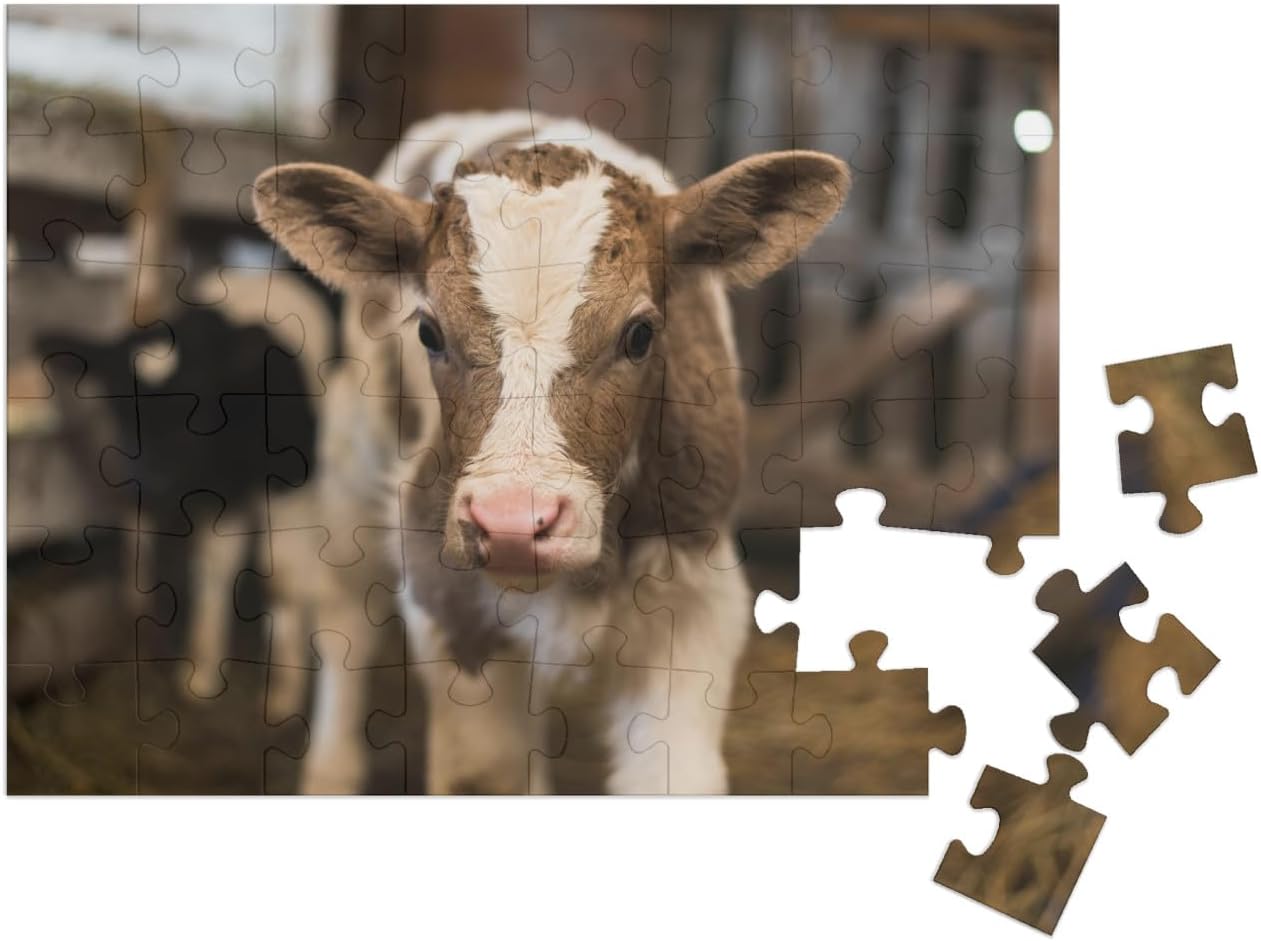 Bild von puzzleYOU Puzzle Niedliches Kalb im gemütlichen Stall, 48 Puzzleteile, puzzleYOU-Kollektionen Kühe & Kälber