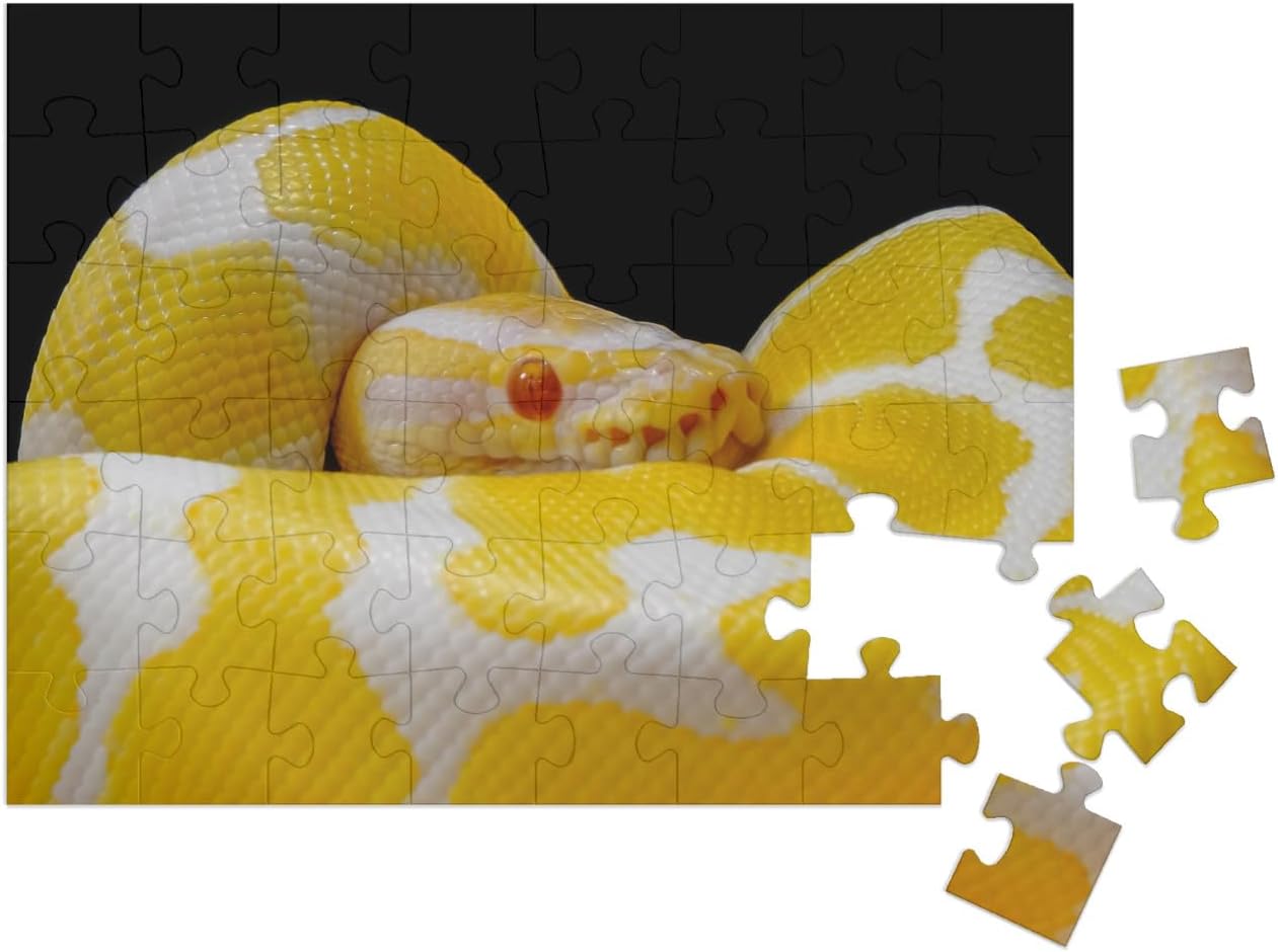 Bild von puzzleYOU Puzzle Weiß-gelbe Kugelpython, um sich selbst geschlungen, 1000 Puzzleteile, puzzleYOU-Kollektionen Pythons