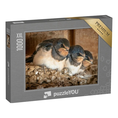 Bild von Niedliche Schwalbenküken im Puzzle-Format