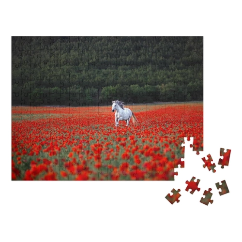 Bild von puzzleYOU Puzzle Weißes Pferd über Mohnfeld – 1000 Teile