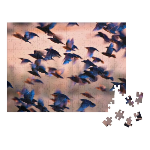 Bild von Puzzle 1000 Teile XXL „Fliegende Vögel: Gemeiner Star“