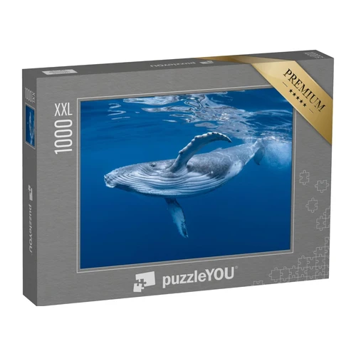 Bild von puzzleYOU Puzzle Ein Buckelwalbaby spielt nahe der Oberfläche, 1000 Puzzleteile