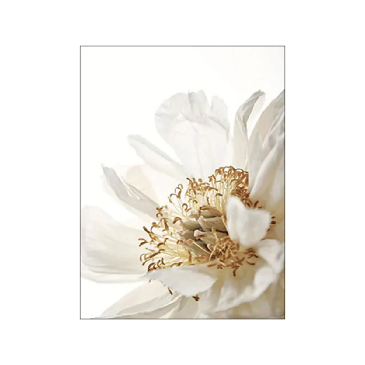 Bild von TPFLiving Gold Luxus Poster Leinwand verschiedene Größen - ohne Rahmen - Modell TPFL-LW-04-MF - 10x15cm
