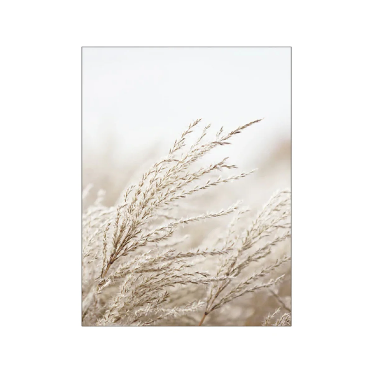 Bild von TPFLiving Gold Luxus Poster Leinwand verschiedene Größen - ohne Rahmen - Modell TPFL-LW-17-MF - 10x15cm