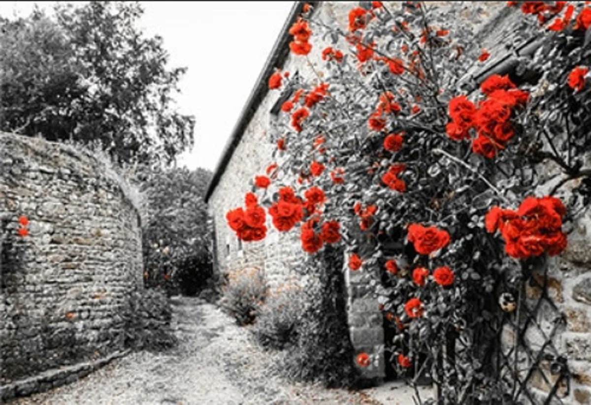 Bild von TPFLiving Luxus Poster Leinwand Landschaften Europas OHNE Rahmen - Modell TPFL-LW-27-MG - 10x15cm