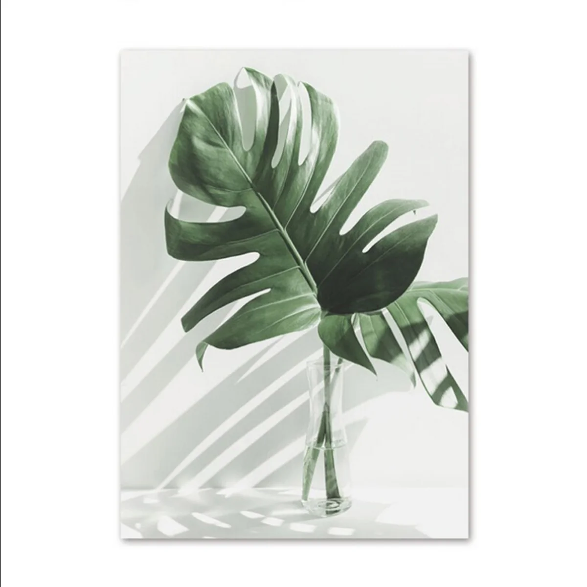 Bild von TPFLiving Luxus Poster Leinwand / Blumen und Blätter in Grün und Weis / 15 Motive in 16 verschiedene Größen - OHNE Rahmen - Modell TPFL-LW-42-MK - 20x25cm