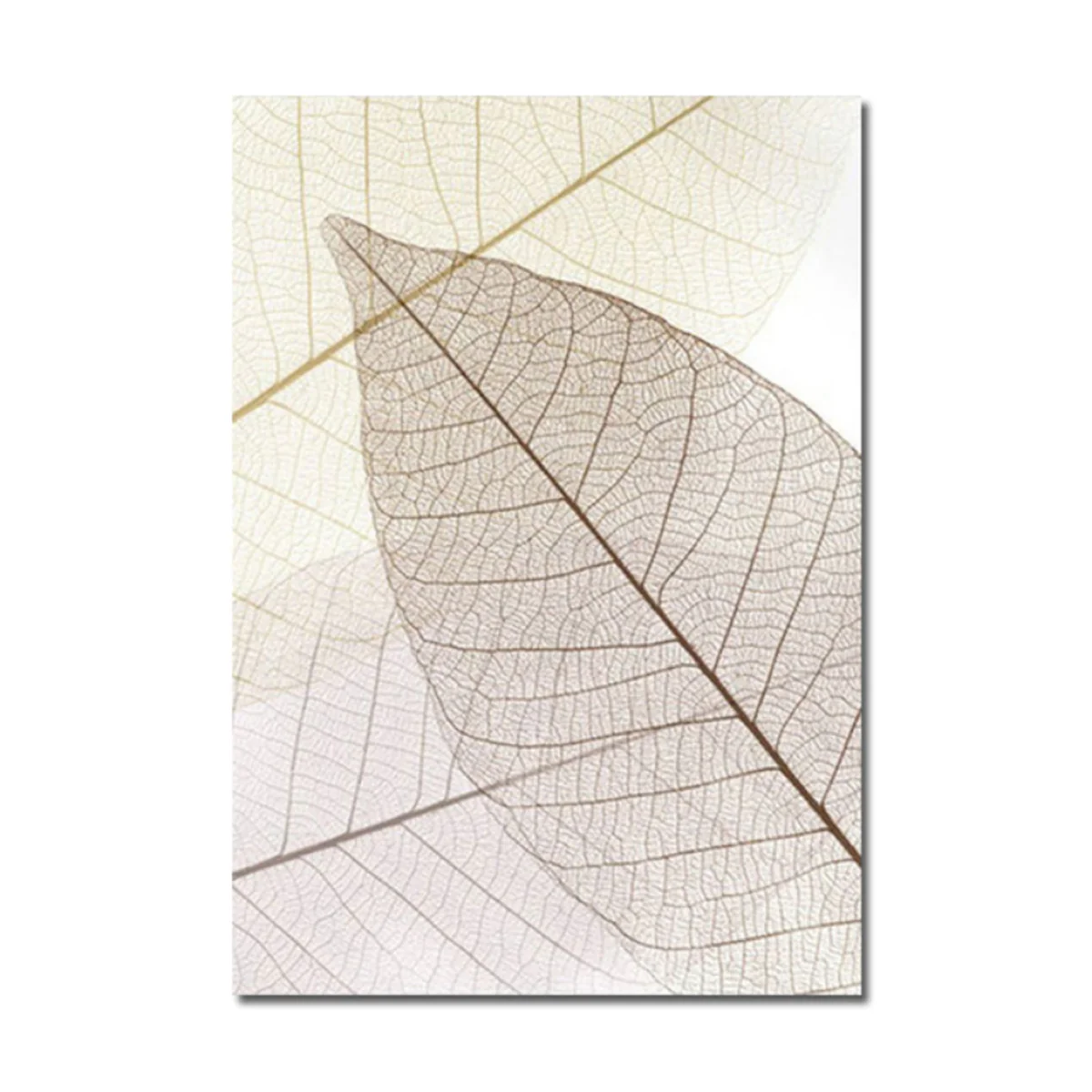 Bild von TPFLiving Luxus Poster Leinwand - Ginkgo-Blatt - Beige und Weiß - 15 verschiedene Größen - OHNE Rahmen - Modell B - 40x50cm