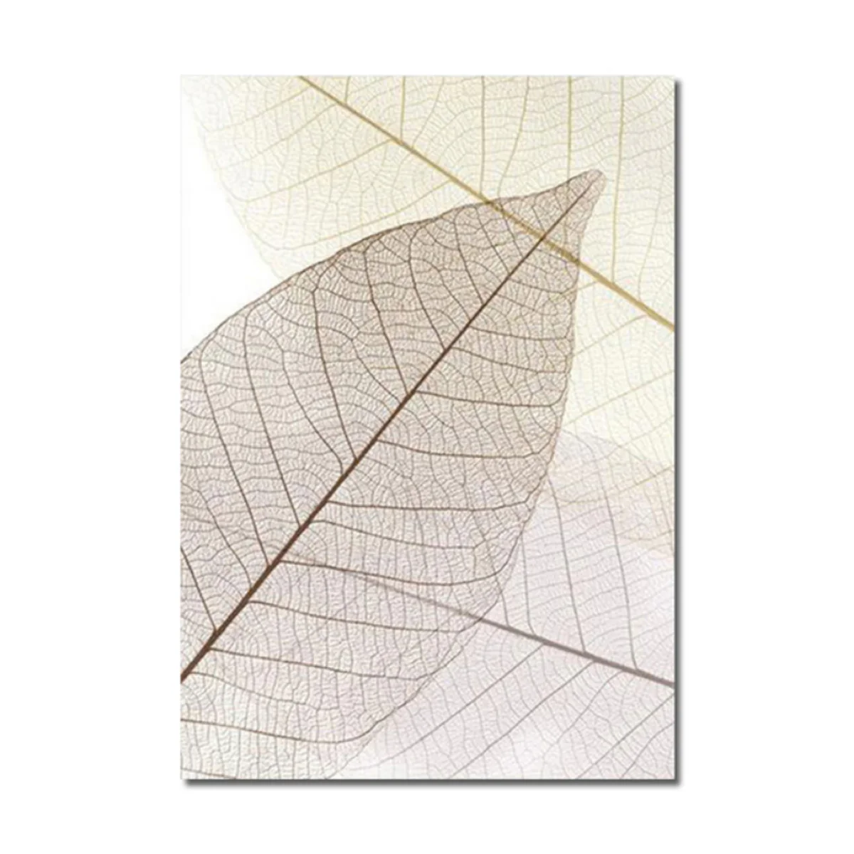 Bild von TPFLiving Luxus Poster Leinwand - Ginkgo-Blatt - Beige und Weiß - 15 verschiedene Größen - OHNE Rahmen - Modell C - 30x42cm
