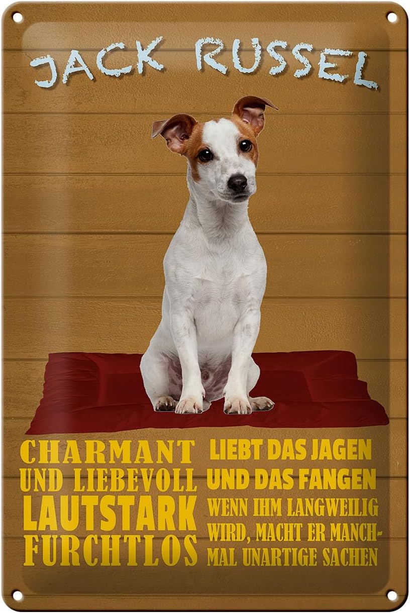 Bild von FEMER Blechschild Spruch 20x30cm Jack Russel Hund charmant