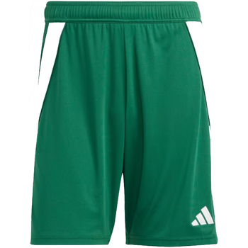 Bild von Adidas Tiro 24 Herren Kurze Hosen - Grün - Größe: S - Baumwoll-Canvas - Foot Locker