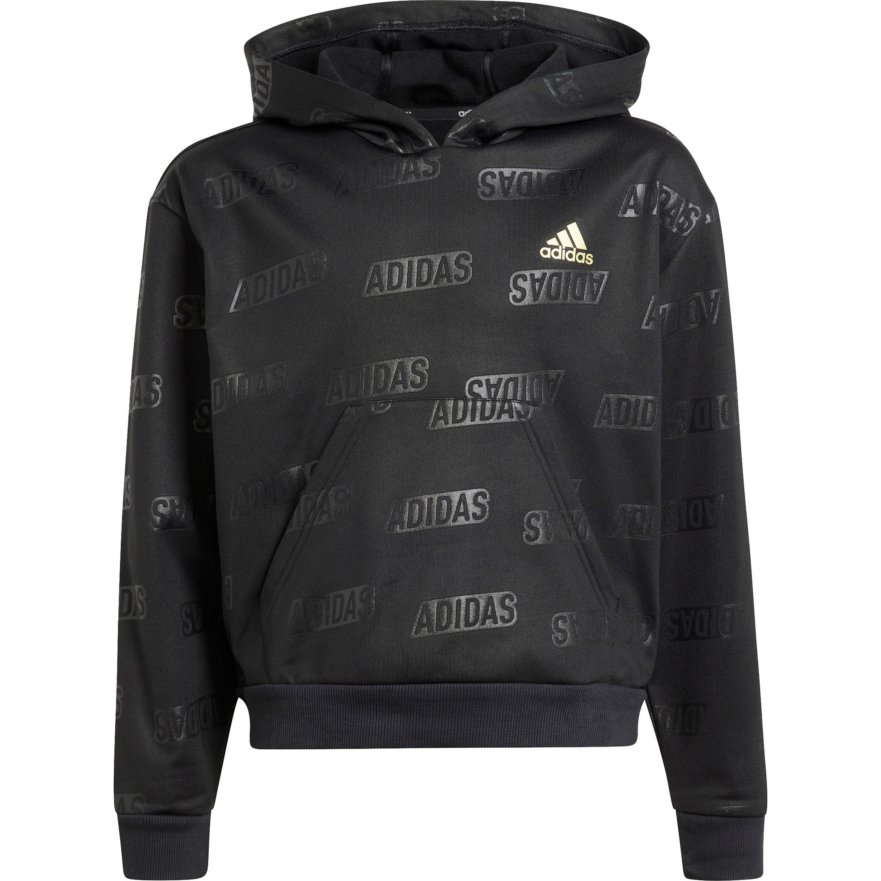 Bild von adidas BLUV Q4 Hoodie Mädchen