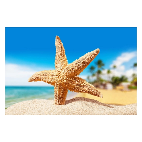 Bild von Die perfekte Wanddekoration für jedes Zuhause: Pixxprint Glasbild Seestern Palm Beach