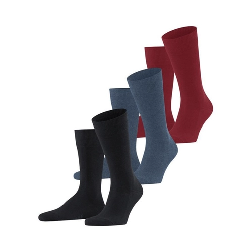 Bild von FALKE Socken Family 3-Pack – Komfort und Nachhaltigkeit vereint