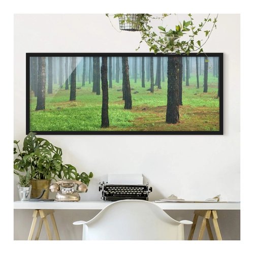 Bild von Wald Bild mit Rahmen - Tiefer Wald mit Kiefern auf La Palma