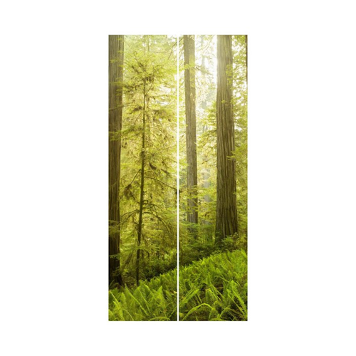 Bild von Bilderdepot24 Schiebegardine modern Flächenvorhang blickdicht Redwood State Park