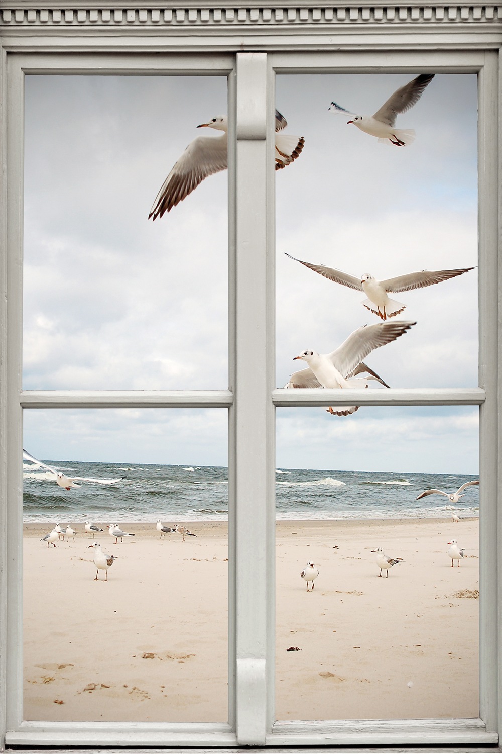 Bild von queence Leinwandbild »Möwen«, Meer-Natur-Vögel-Fensterblick, (1 St.), Premium-Leinwandstoff, Handarbeit aus Deutschland