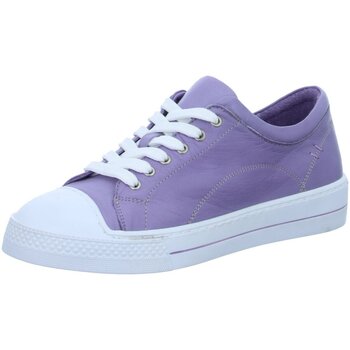 Bild von Andrea Conti  Halbschuhe Schnuerschuhe Sneaker 0067101-0303