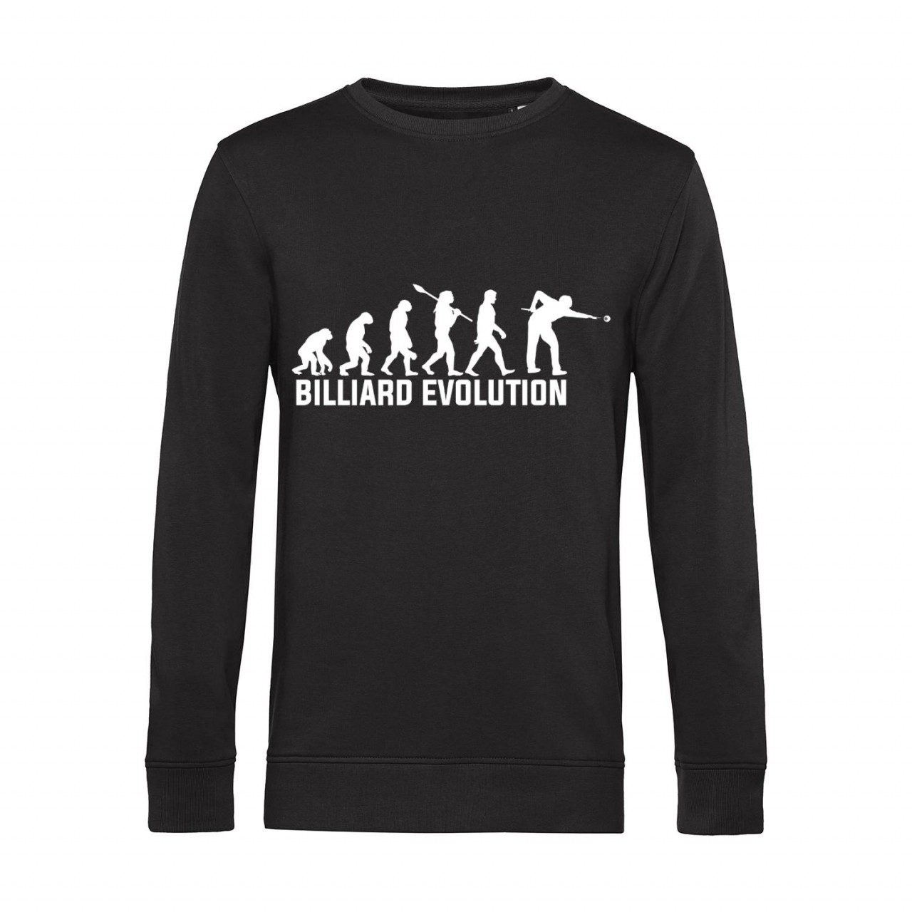 Bild von Nachhaltiges Sweatshirt Herren Billard Evolution
