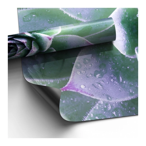 Bild von DEQORI Magnetfolie für Heizung 120x60 cm - Motiv Taufrische Symmetrie