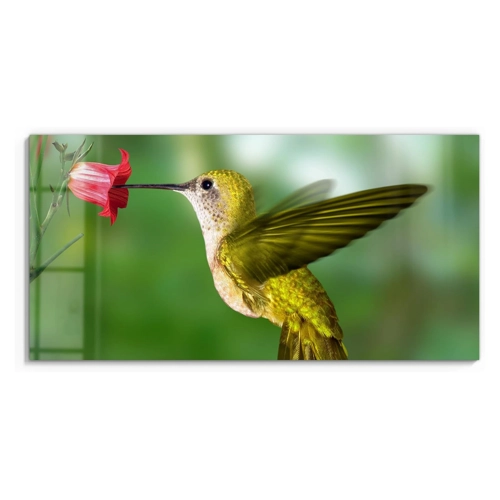 Bild von DEQORI Glasbild Acrylglas | Motiv Flügelschlag des Kolibris | horizontal einteilig 100x50 cm