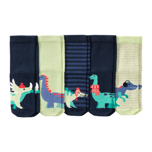 Bild von 5 Paar Baby Socken mit Dino-Motiven