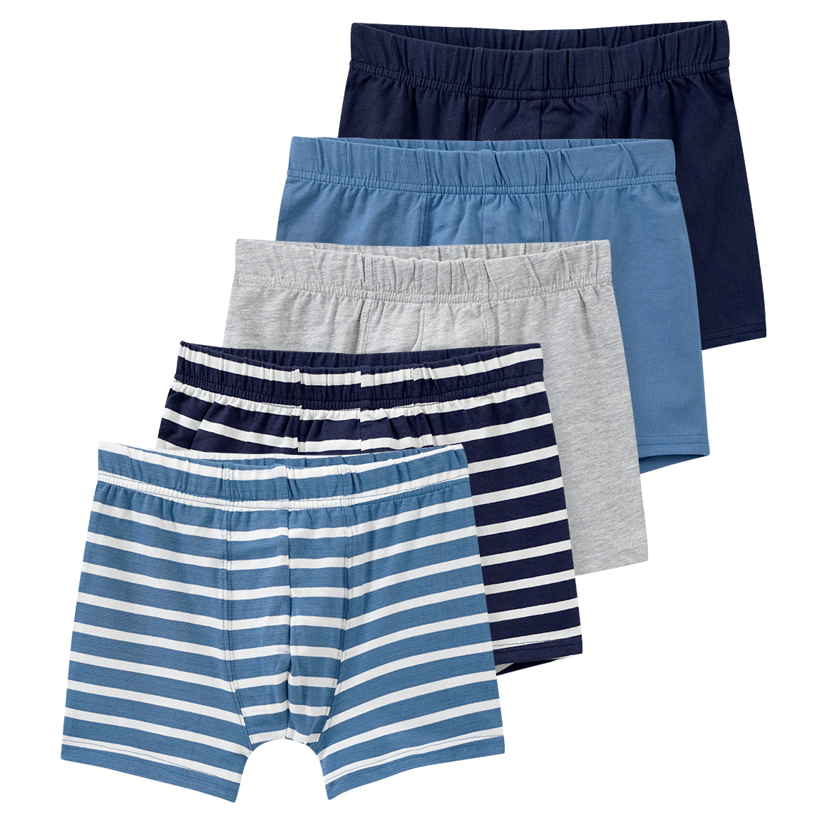 Bild von 5 Jungen Boxer mit Bio Baumwolle