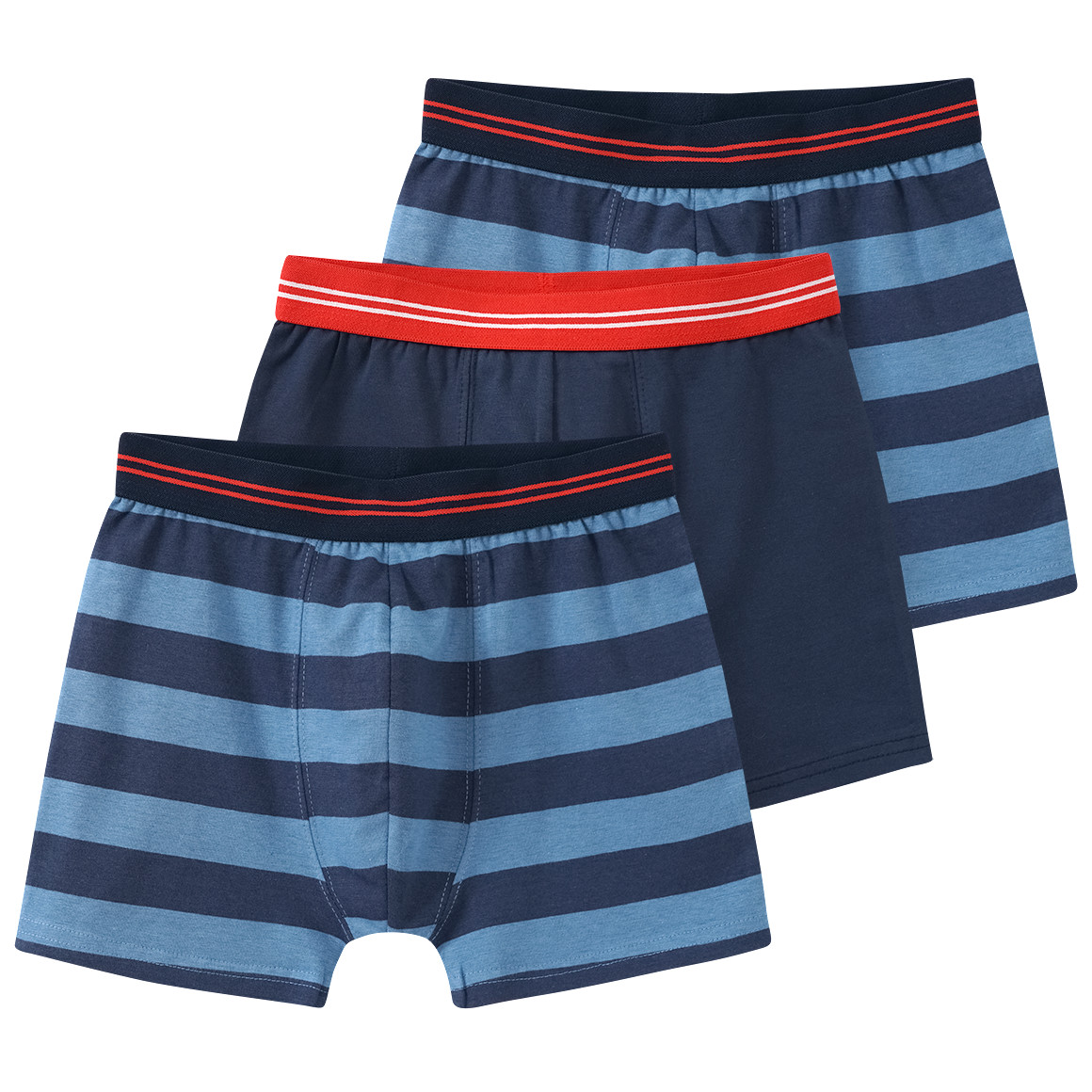 Bild von 3 Jungen Boxer mit Bio-Baumwolle