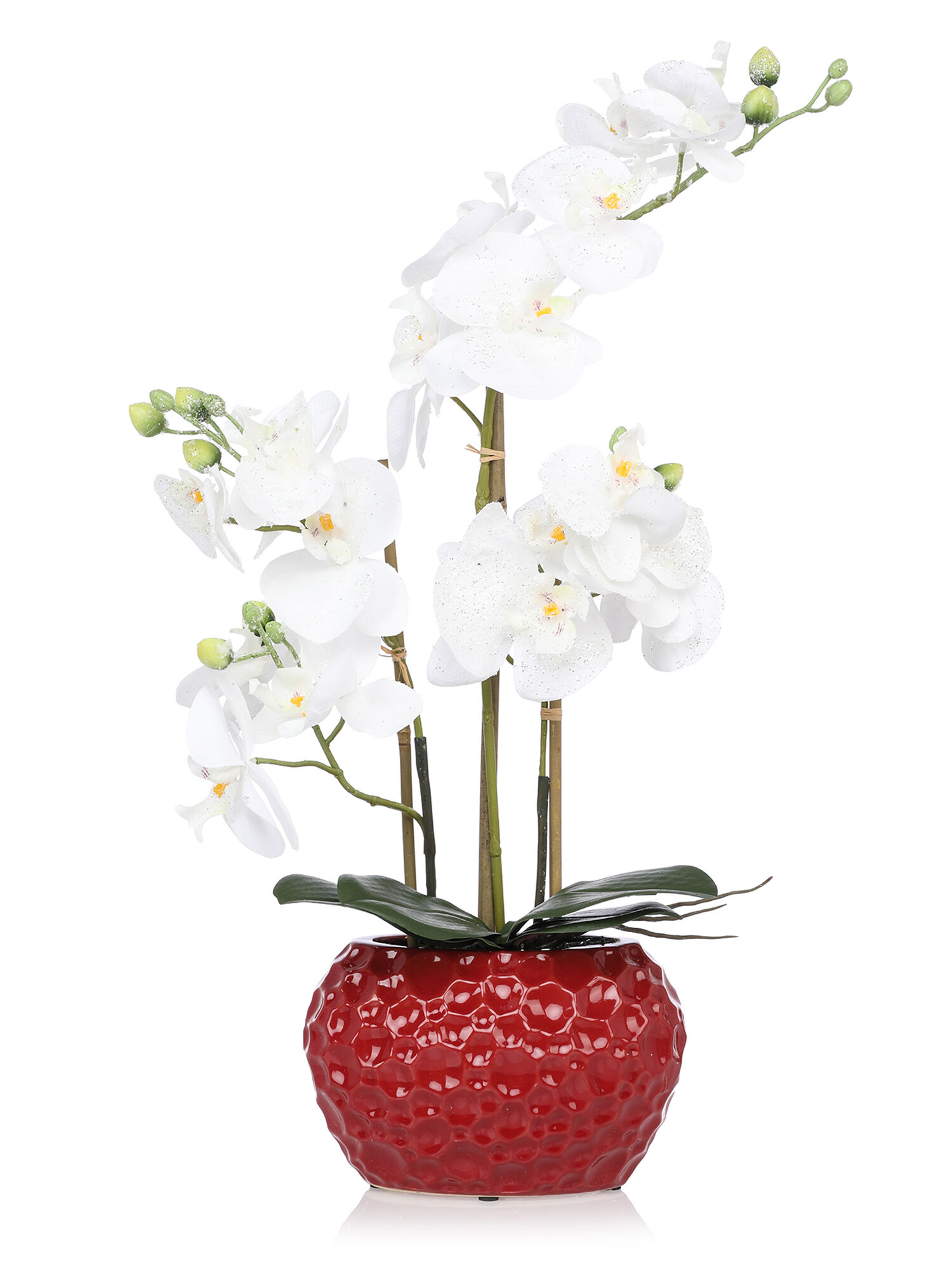 Bild von Belles Décorations Orchidee Phalaenopsis Roya in Bordeauxvase, 55 cm x weißsilber