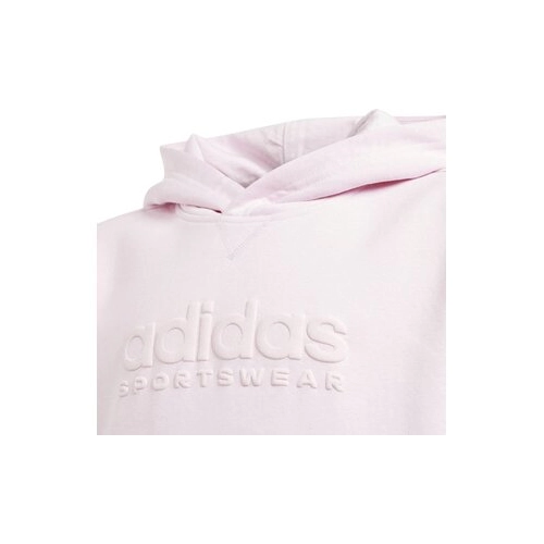 Bild von adidas Kinder J Graphic Hoodie (Rosa 164 ) Fitnessbekleidung