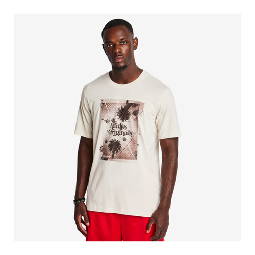 Bild von Adidas Graphics Herren T-Shirts - Stylisch und Komfortabel