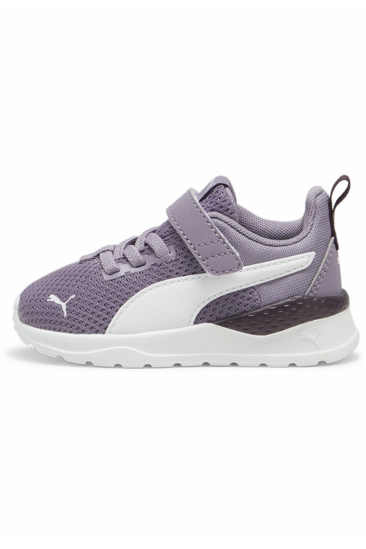 Bild von Puma, Damen, Sneaker, Anzarun Lite AC Inf, Violett, (22)
