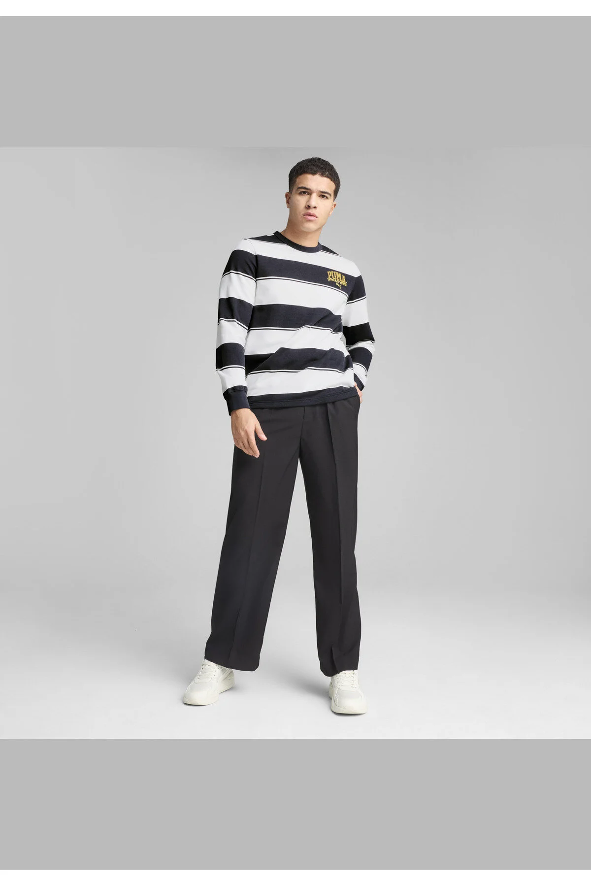 Bild von Puma, Herren, Pullover, CLASS Striped AOP Crew TR, Braun, (XL)