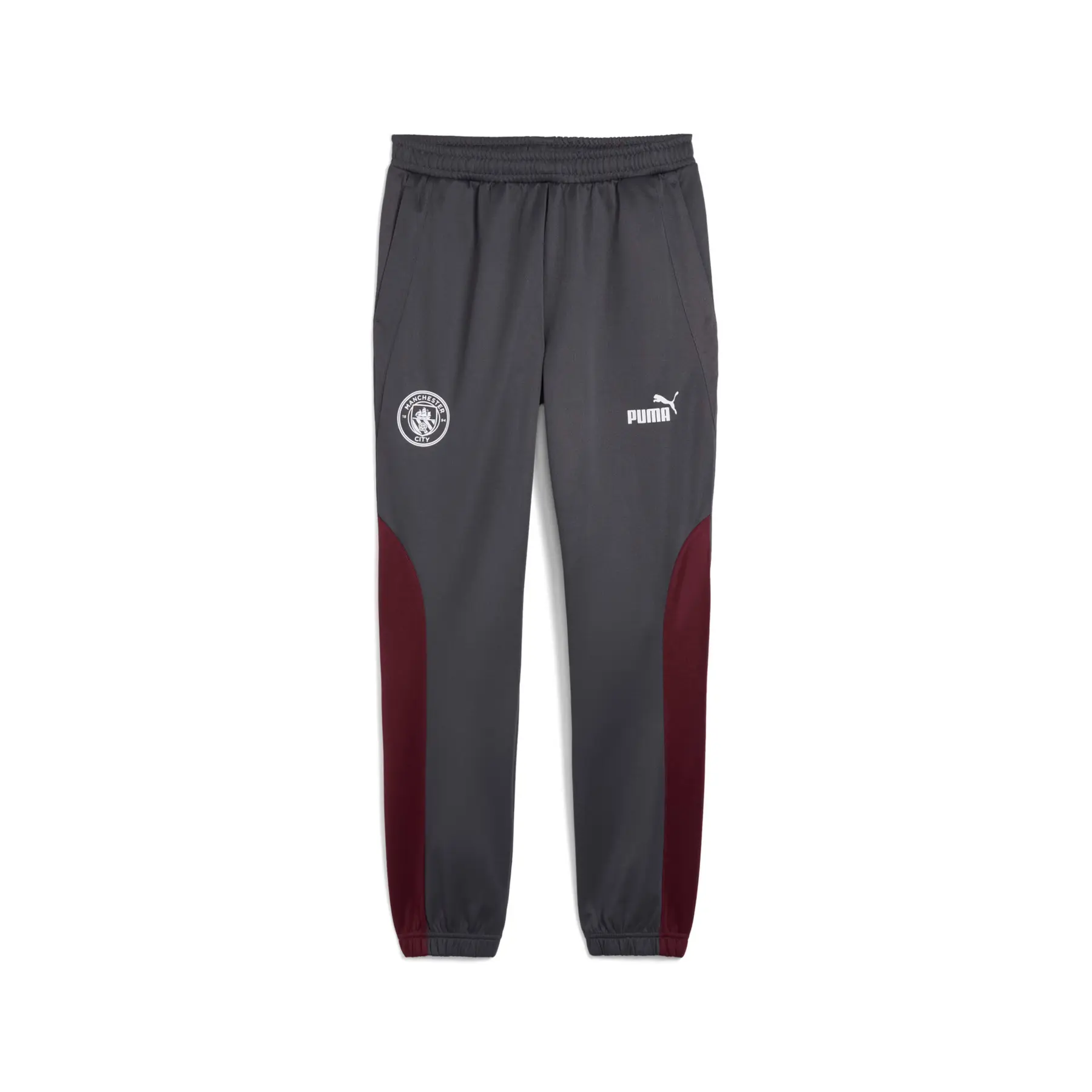 Bild von Puma, Damen, Sporthose, Manchester City 2024/25 Jogginghose (XL), Blau, XL