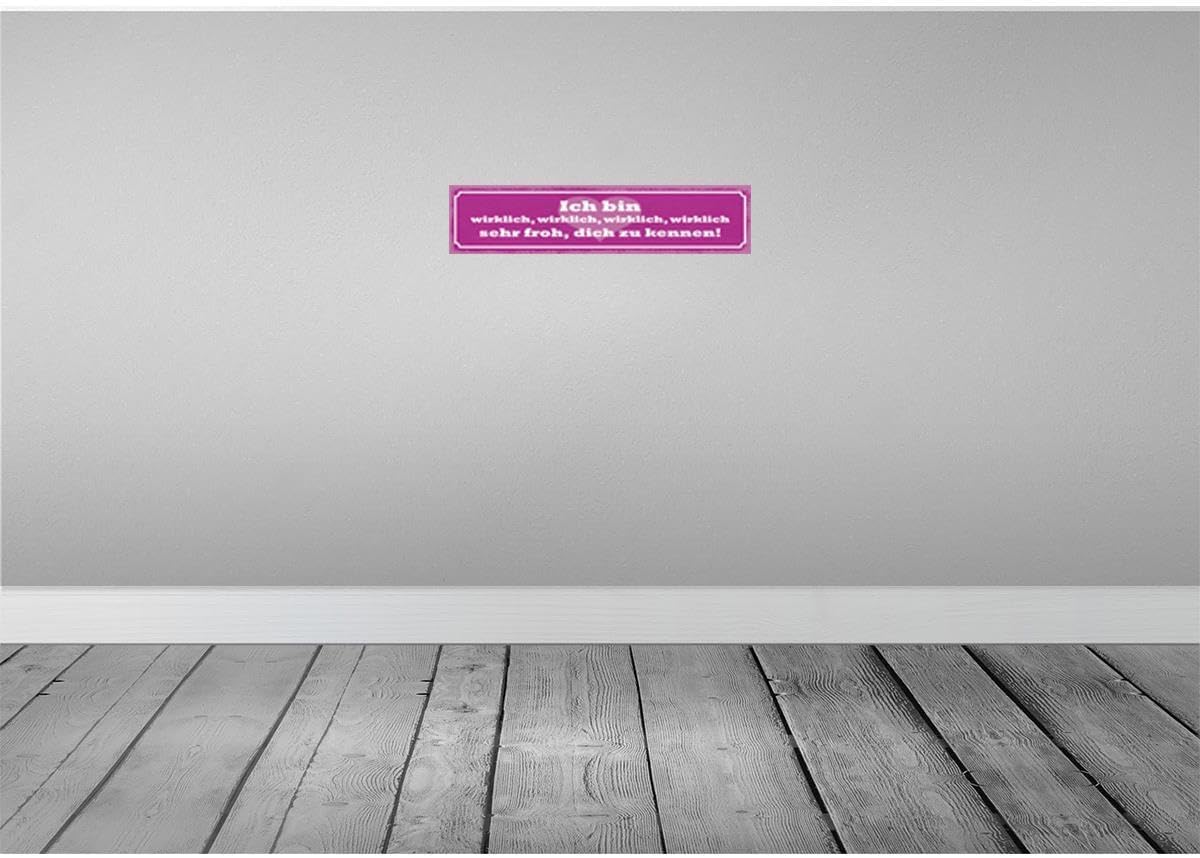 Bild von vianmo Holzschild 10x46 cm bin wirklich froh dich zu kennen Deko Geschenk Holz Schild