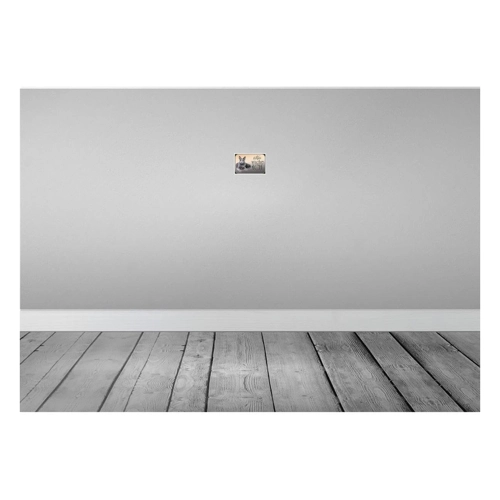 Bild von Vianmo Blechschild 18x12cm Katze Chartreux - Hier Wache Ich