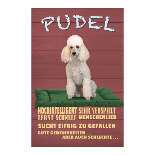Bild von Holzschild 18x12 cm - Pudel Hochintelligent Lieb Hund