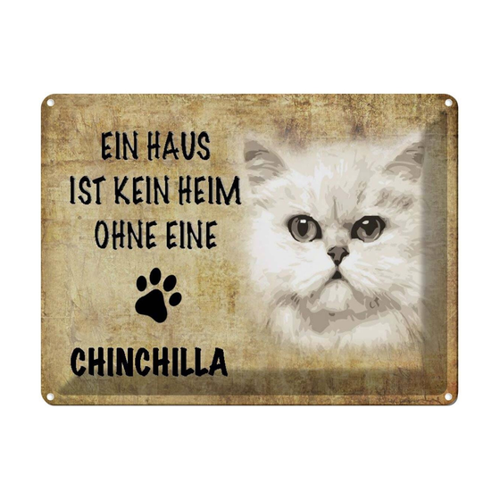 Bild von Blechschild 30x40 cm - Chinchilla Katze ohne kein Heim