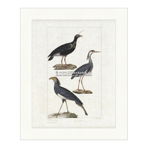 Bild von Eleganter Kunstdruck mit hochwertigem Passepartout