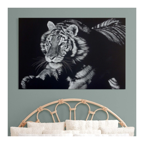 Bild von Akustikbild Tiger im Sonnenlicht vor Schwarz