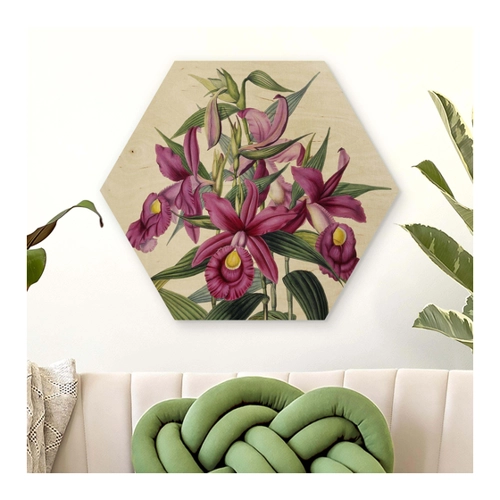 Bild von Hexagon-Holzbild Maxim Gauci - Orchidee I