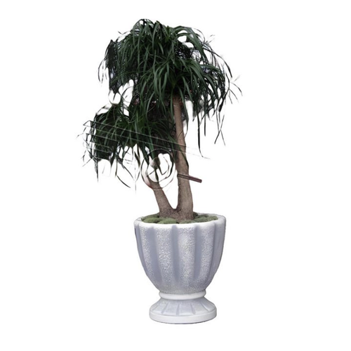 Bild von Xlmoebel Skulptur Moderne Blumenkübel Top Planz Pflanzgefäß Töpfe mit Gesichts-Skulptur