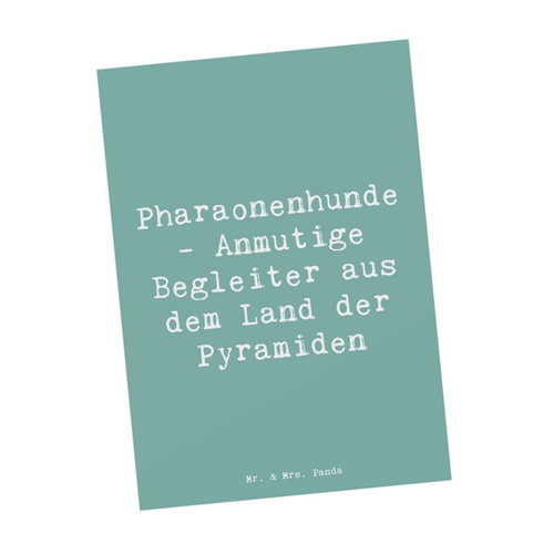 Bild von Mr. & Mrs. Panda Postkarte Spruch Pharaonenhund
