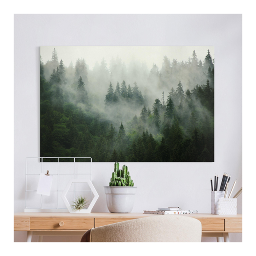 Bild von Leinwandbild Tiefgrüner Tannenwald im Nebel