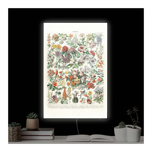Bild von LED-Wechselbild Vintage Lehrtafel Blumen II - Ein zeitloses Lichtkunstwerk