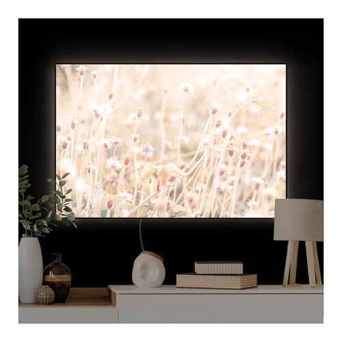 Bild von LED-Wechselbild Strahlende Blumenwiese - Einfarbige Lichtkunst für Ihr Zuhause